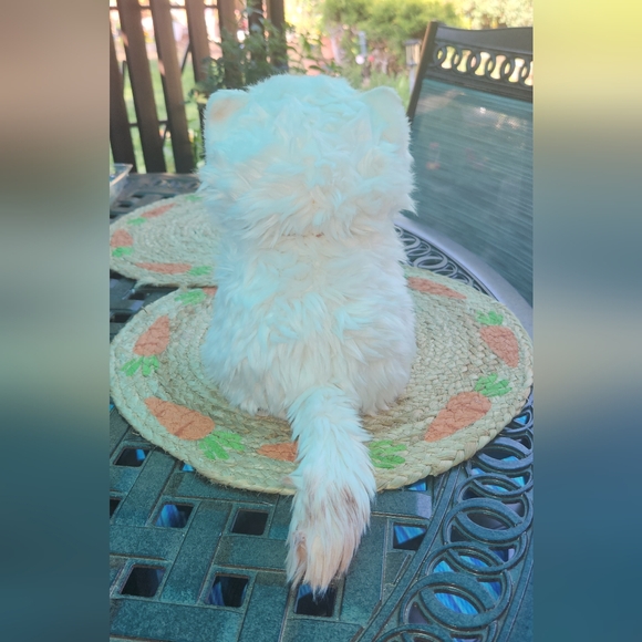 Hugs baby cat - Picture 5 of 8